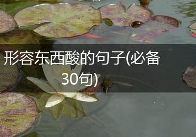 形容东西酸的句子(必备30句)