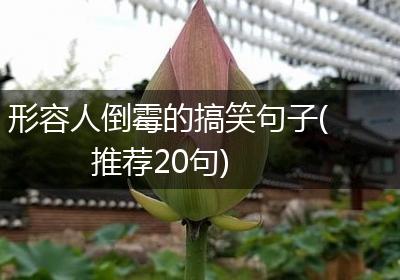 形容人倒霉的搞笑句子(推荐20句)