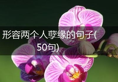 形容两个人孽缘的句子(50句)