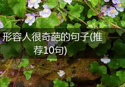 形容人很奇葩的句子(推荐10句)