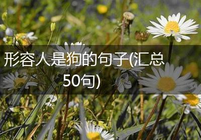 形容人是狗的句子(汇总50句)