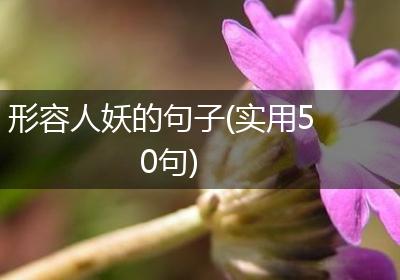 形容人妖的句子(实用50句)