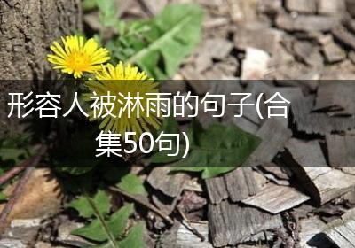 形容人被淋雨的句子(合集50句)