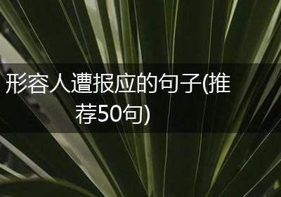形容人遭报应的句子(推荐50句)