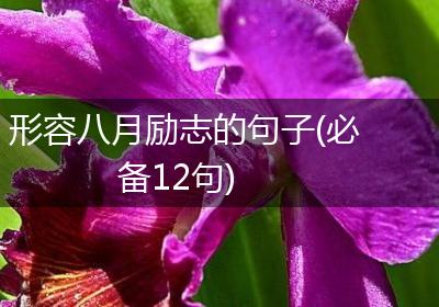 形容八月励志的句子(必备12句)