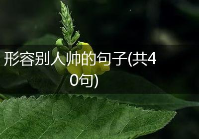 形容别人帅的句子(共40句)