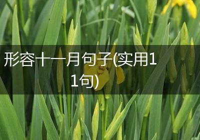 形容十一月句子(实用11句)