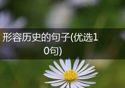 形容历史的句子(优选10句)