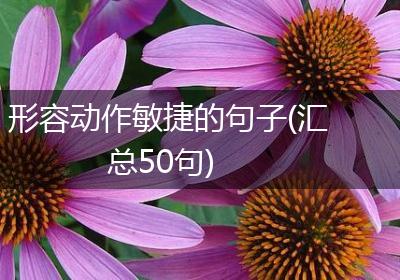 形容动作敏捷的句子(汇总50句)