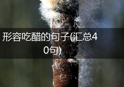 形容吃醋的句子(汇总40句)