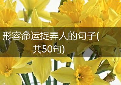 形容命运捉弄人的句子(共50句)