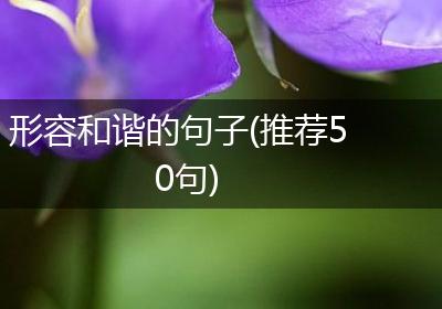 形容和谐的句子(推荐50句)