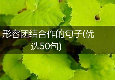 形容团结合作的句子(优选50句)