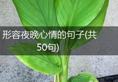 形容夜晚心情的句子(共50句)