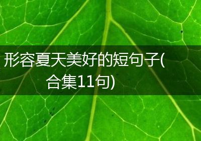 形容夏天美好的短句子(合集11句)