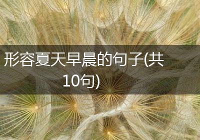 形容夏天早晨的句子(共10句)