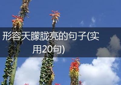 形容天朦胧亮的句子(实用20句)