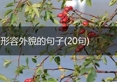 形容外貌的句子(20句)