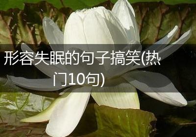 形容失眠的句子搞笑(热门10句)