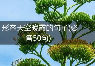 形容天空晚霞的句子(必备50句)