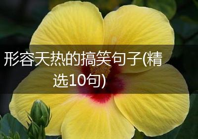 形容天热的搞笑句子(精选10句)
