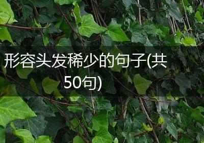 形容头发稀少的句子(共50句)