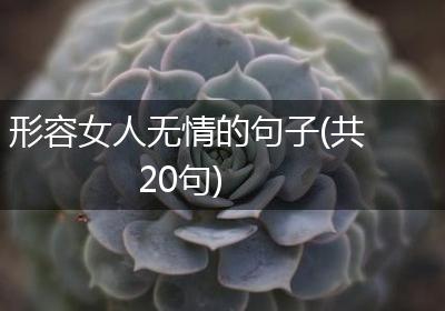 形容女人无情的句子(共20句)