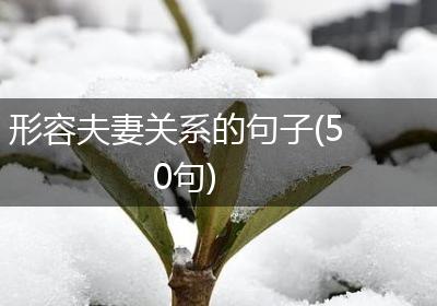 形容夫妻关系的句子(50句)