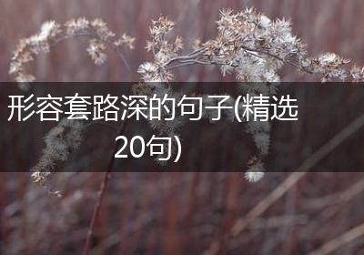 形容套路深的句子(精选20句)