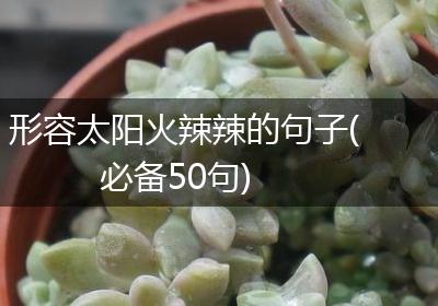 形容太阳火辣辣的句子(必备50句)