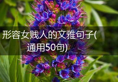 形容女贱人的文雅句子(通用50句)