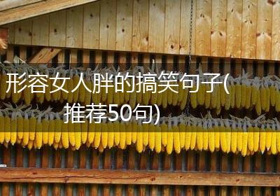 形容女人胖的搞笑句子(推荐50句)