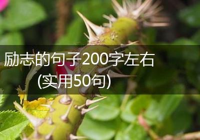 励志的句子200字左右(实用50句)
