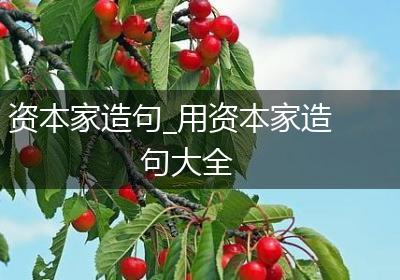 资本家造句_用资本家造句大全