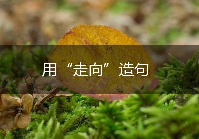 用“走向”造句