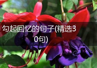 勾起回忆的句子(精选30句)