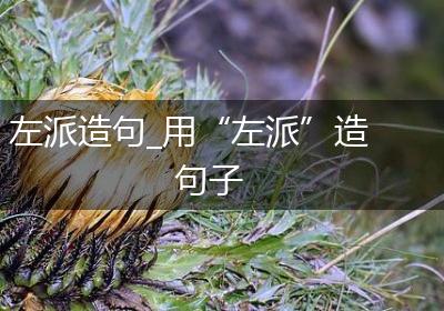 左派造句_用“左派”造句子