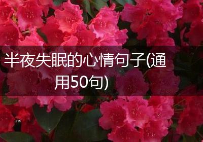 半夜失眠的心情句子(通用50句)