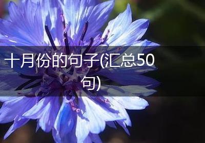 十月份的句子(汇总50句)