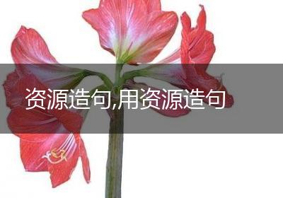 资源造句,用资源造句
