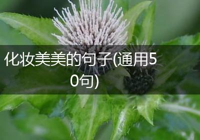 化妆美美的句子(通用50句)