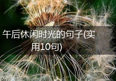 午后休闲时光的句子(实用10句)