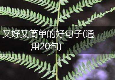 又好又简单的好句子(通用20句)