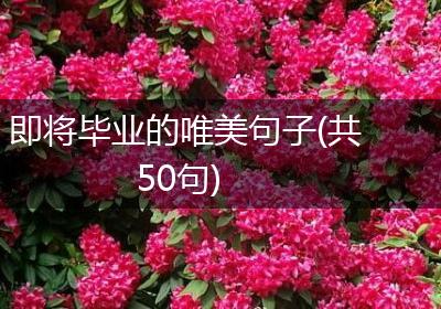即将毕业的唯美句子(共50句)