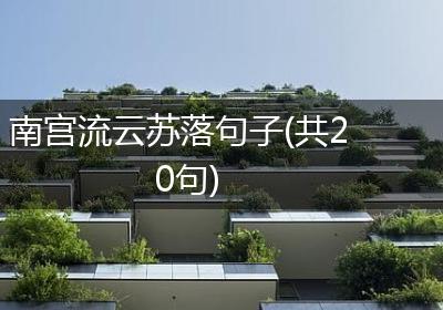 南宫流云苏落句子(共20句)