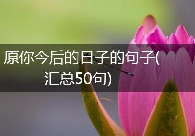 原你今后的日子的句子(汇总50句)