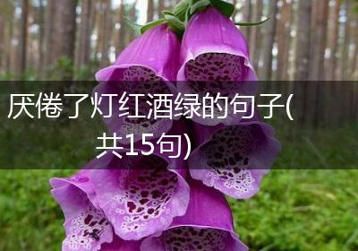 厌倦了灯红酒绿的句子(共15句)