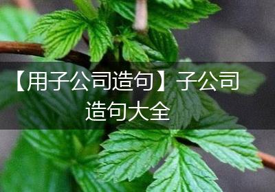 【用子公司造句】子公司造句大全