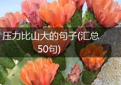 压力比山大的句子(汇总50句)