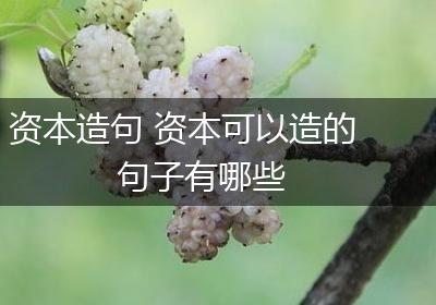 资本造句 资本可以造的句子有哪些